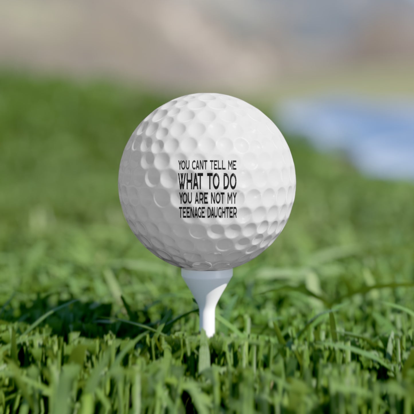 Humorous Golf Balls Set, Funny Gift for Golfers, Dad's Day Golf Accessories, Unique Golf Balls for Teenagers, Golf Gifts for Him