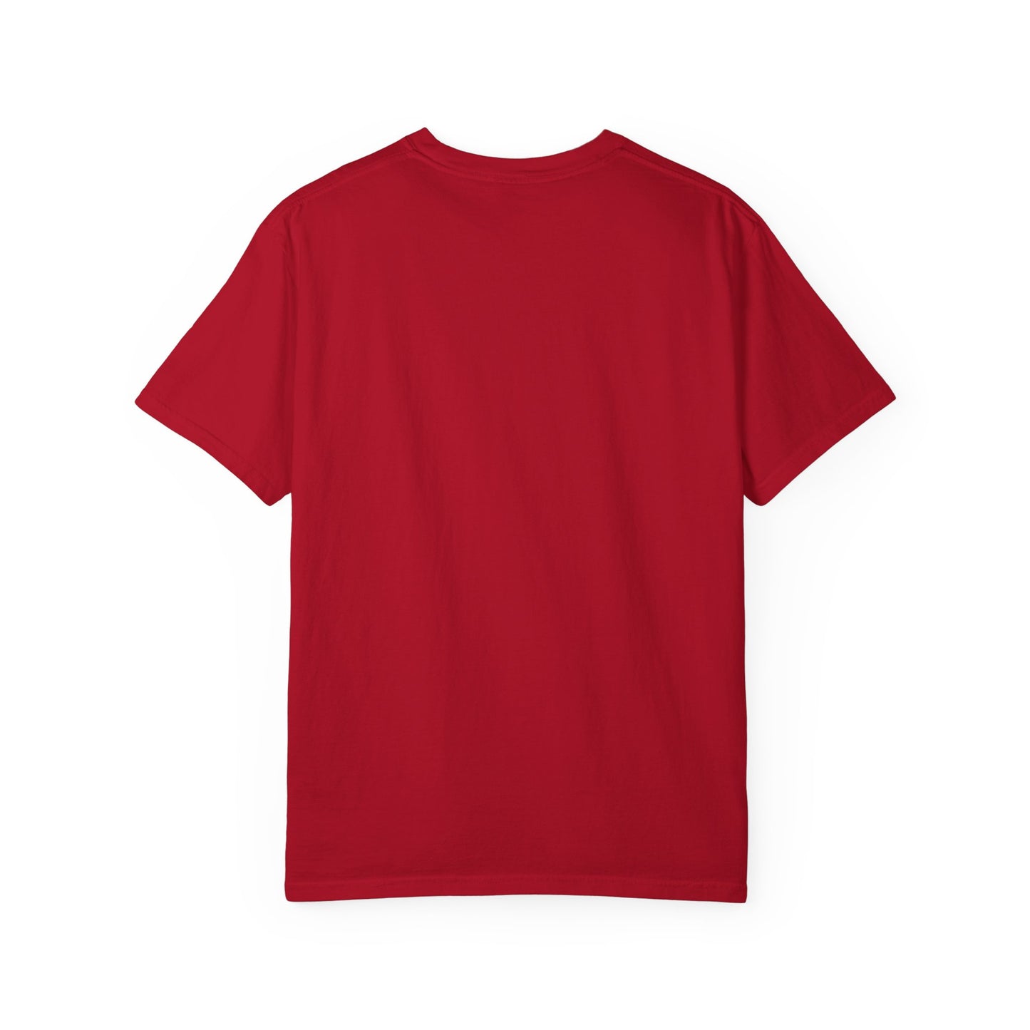 Intelligent Nerd Tee, Perfect for Gift, Humor T-Shirt, Unisex Apparel, Geeky Fashion, Casual Wear